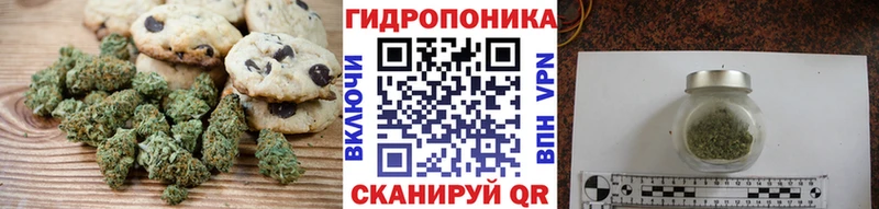 Еда ТГК конопля  купить  цена  Шенкурск 