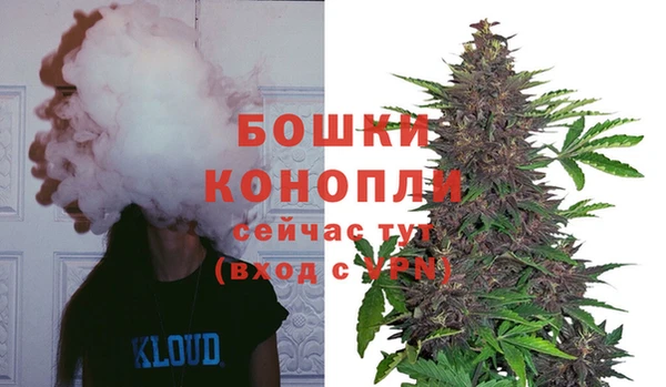 mix Белокуриха